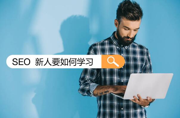 互联网新人如何学习好SEO