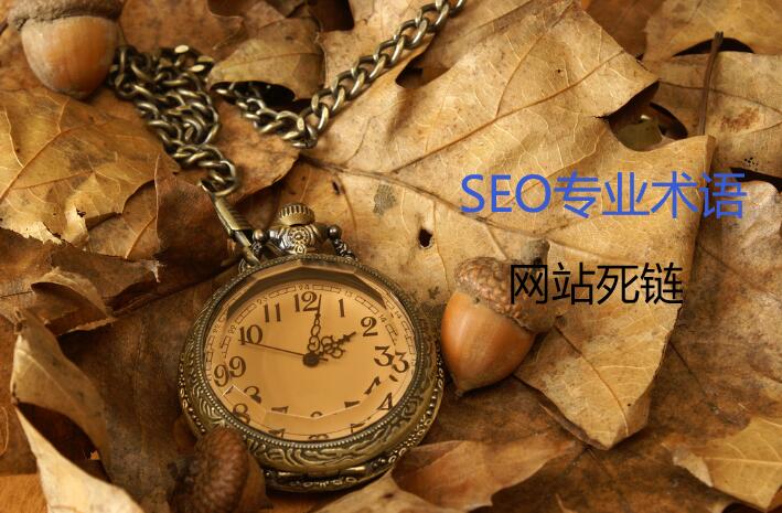 SEO专业术语_网站死链，死链怎么产生的呢？