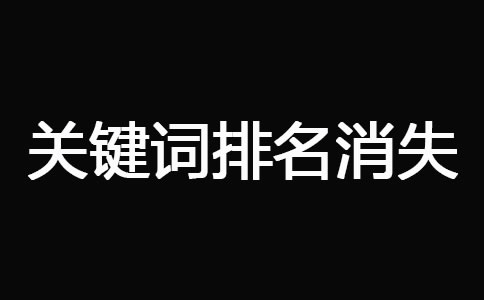 网站被K_关键词排名消失